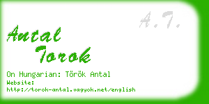 antal torok business card